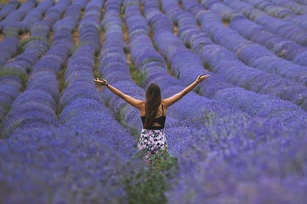 Comment mettre en valeur l'héritage culturel provençal ?