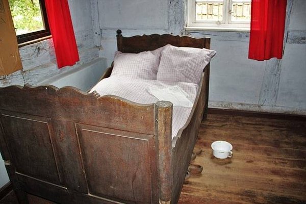 Comment intégrer la nature dans sa décoration provençale ?