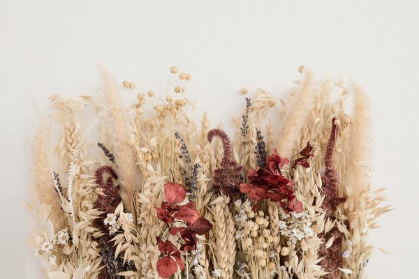 Comment intégrer les fleurs de Provence dans sa déco ?